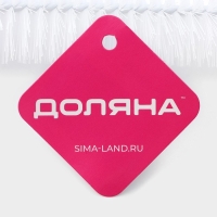 Ёршик для посуды Доляна, 56×5 см, цвет МИКС Ёршик для посуды Доляна, 56×5 см, цвет МИКС