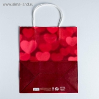 Пакет подарочный крафт, упаковка, «All you need is love», 22 х 25 х 12 см Пакет подарочный крафт, упаковка, «All you need is love», 22 х 25 х 12 см