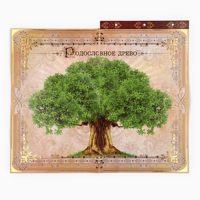 Родословная книга с рамкой под фото &laquo;Семейная книга&raquo;, 50 листов, 21,5 х 23,7 см.
