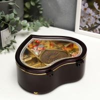 Шкатулка музыкальная пластик "Изогнутое сердце" МИКС 19х17х7 см Шкатулка музыкальная пластик "Изогнутое сердце" МИКС 19х17х7 см