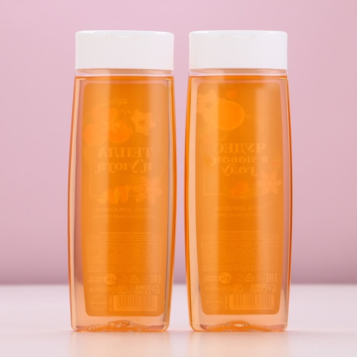 Подарочный набор косметики &laquo;Сказочного Нового Года&raquo;, гель для душа и пена для ванны, 2 х 250 мл, ЧИСТОЕ СЧАСТЬЕ