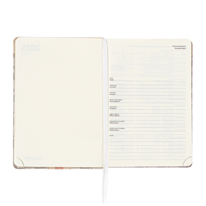 Ежедневник датированный 2025 года A5 168 листов, deVENTE. Expert, интегральная обложка кожзам, карман, перфорация, ляссе, кремовый блок 70 г/м2, серый