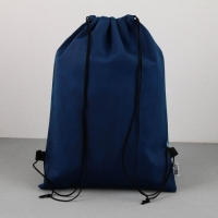 Мешок для обуви «Только вперёд» нетканное полотно, размер 30 х 40 см Мешок для обуви «Только вперёд» нетканное полотно, размер 30 х 40 см