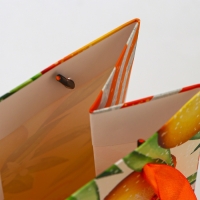 Новый год. Пакет подарочный новогодний под бутылку &laquo;Апельсины&raquo;, 13 x 36 x 10 см.