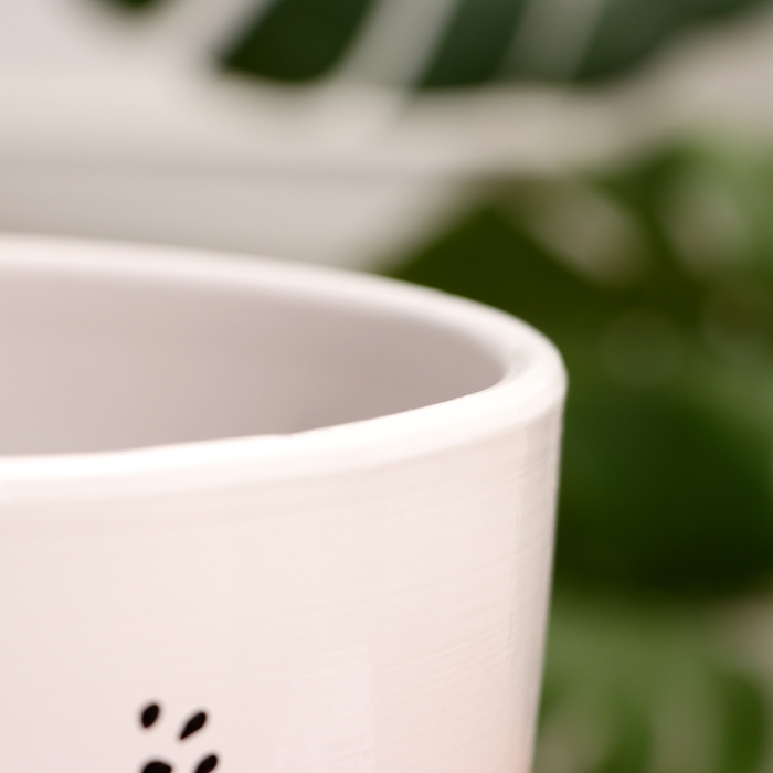 Горшок цветочный Кот 5 л