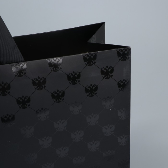 Пакет ламинированный горизонтальный &laquo;Россия - наша страна&raquo;, L 40 х 31 х 11.5 см