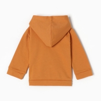 Комплект для мальчика, цвет горчица, рост 74 см