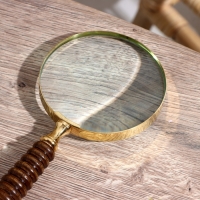 Лупа сувенирная "Рэли" дерево, латунь 24см Лупа сувенирная "Рэли" дерево, латунь 24см