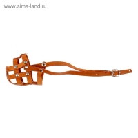 Намордник кожаный сетчатый №0, такса (длина по носу 4,5 см, обхват морды 14 см), чёрный Намордник кожаный сетчатый №0, такса (длина по носу 4,5 см, обхват морды 14 см), чёрный