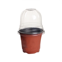 Горшок для рассады с крышкой, 250 мл, d = 9,5 &times; 15 см, (фасовка 5 шт.) Greengo