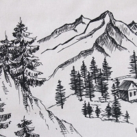 Постельное бельё &laquo;Этель&raquo; 2 сп Winter landscape 175х215 см, 200х220 см,50х70 см -2 шт, поплин