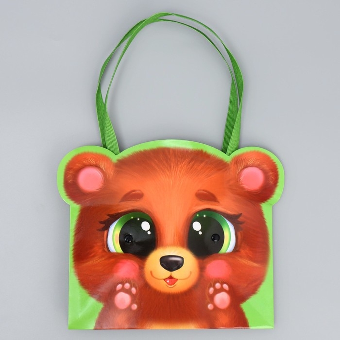 Переноски для цветов «Мишка», 20 × 12 × 12 см Переноски для цветов «Мишка», 20 × 12 × 12 см