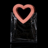 Пакет подарочный из ПВХ Розовый 20Х18Х10 см Пакет подарочный из ПВХ Розовый 20Х18Х10 см