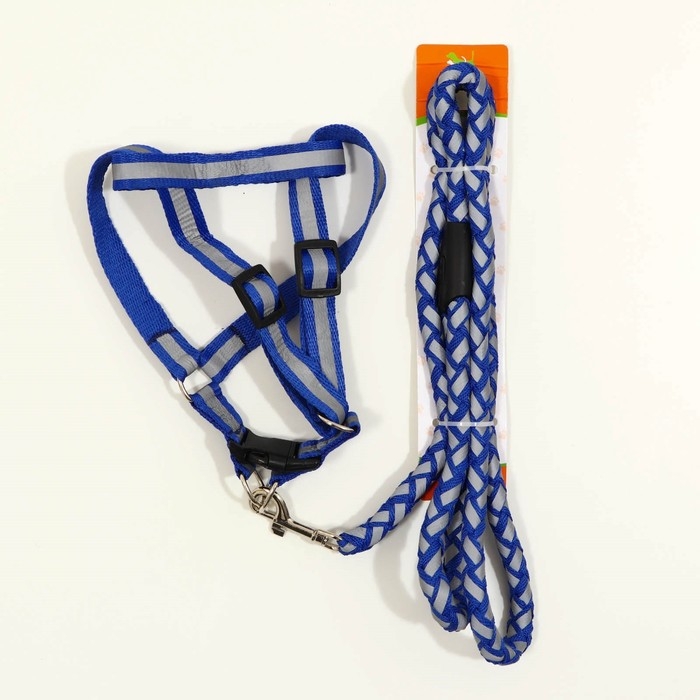 Комплект "Плетенка", флуоресцентный, поводок 115 х 1 см, ОГ 32-48 х 1,5 см, синий