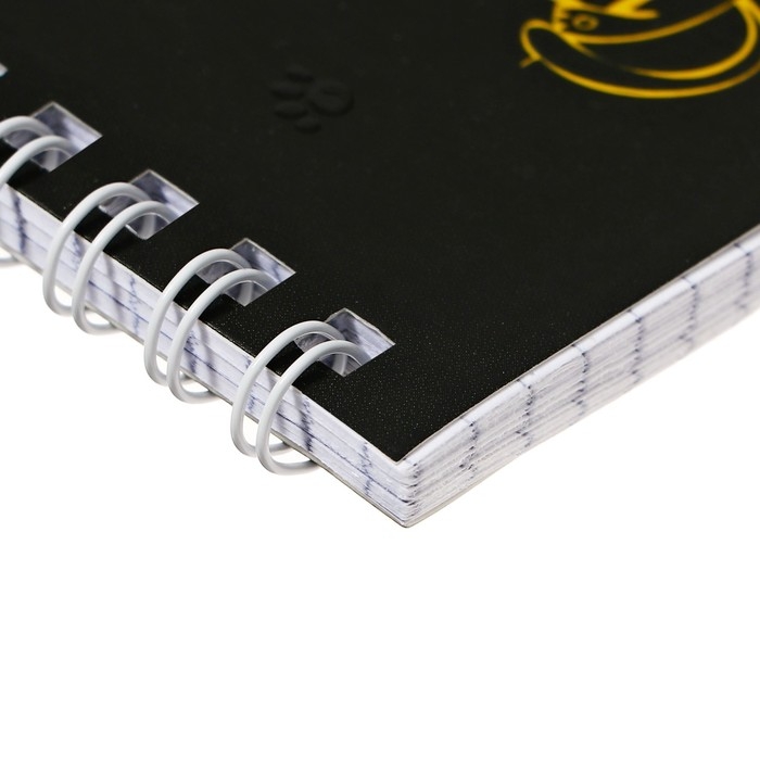 Тетрадь 48 листов в клетку, на гребне Тетрадь 48 листов в клетку, на гребне "Волшебные глаза", обложка мелованный картон, матовая ламинация, 3D-лак, блок 65 г/м2, МИКС