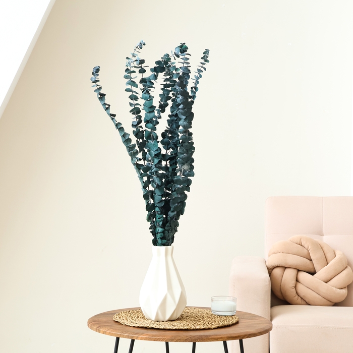 Сухоцвет &laquo;Эвкалиптовое дерево&raquo;, голубой, 10 шт. в упаковке