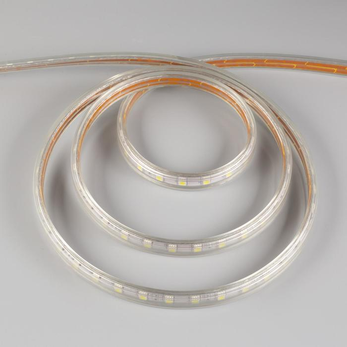 Светодиодная лента Ecola STD 14 &times; 7 мм, 100 м, IP68, SMD5050, 60 LED/м, 14.4 Вт/м, 220 В, 6000К