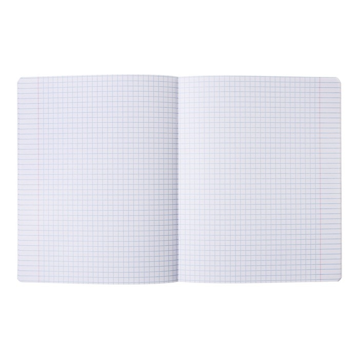 Комплект предметных тетрадей 48 листов, 12 штук, ErichKrause "Чубрик", пластиковая обложка, шелкография, блок офсет 100% белизна, инфо-блок