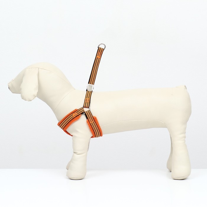 Шлейка супермягкая со светоотражающей прошивкой, размер М, обхват 32-63 см, оранжевая Шлейка супермягкая со светоотражающей прошивкой, размер М, обхват 32-63 см, оранжевая