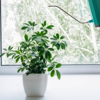 Горшок для цветов, 15 &times; 15 см, 2,5 л, пластик, белый