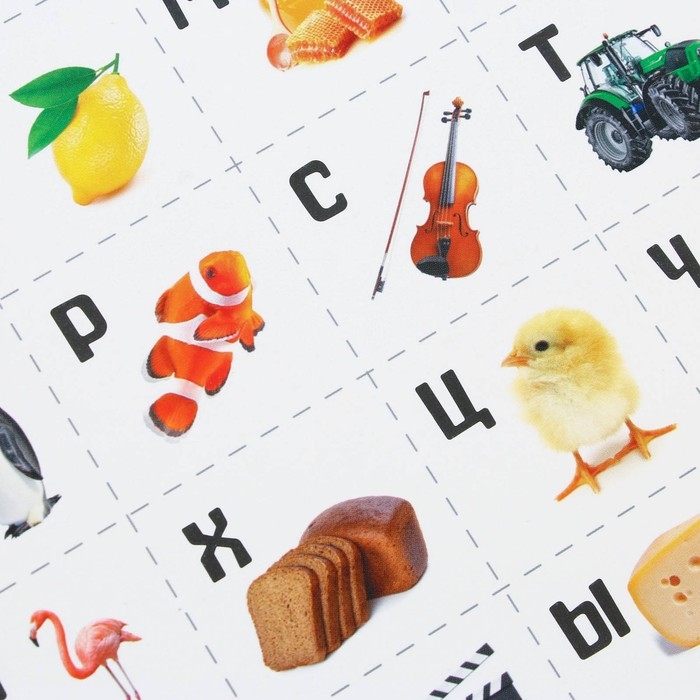 Набор обучающих плакатов «Изучаем мир», 10 в 1, А4 Набор обучающих плакатов «Изучаем мир», 10 в 1, А4