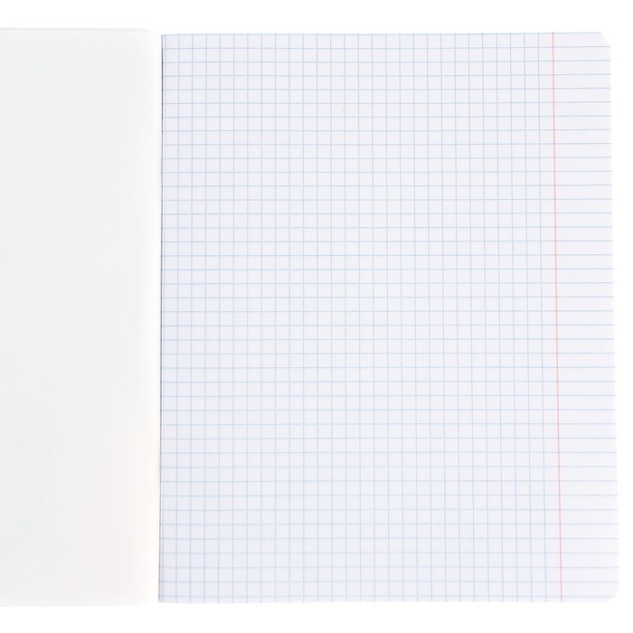 Набор тетрадей 10 штук, 24 листа, 1 сентября, в клетку, тиснение, обложка мелованный картон, Минни Маус и Единорог