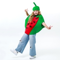 Карнавальный набор &laquo;Забавный арбуз&raquo;, фетр