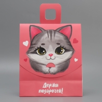 Пакет подарочный с формовым клапаном, упаковка, &laquo;Котик&raquo;, 23 х 27 х 11.5 см