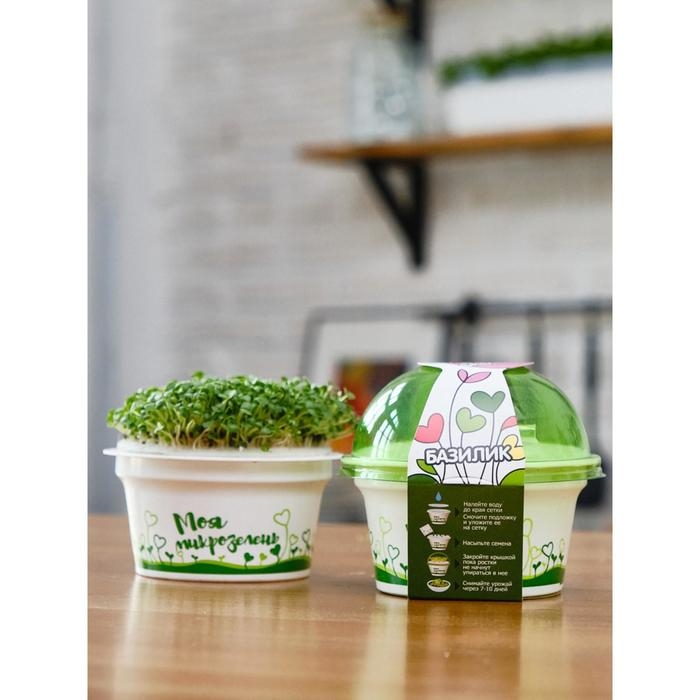 Набор для выращивания «Моя микрозелень», базилик Набор для выращивания «Моя микрозелень», базилик