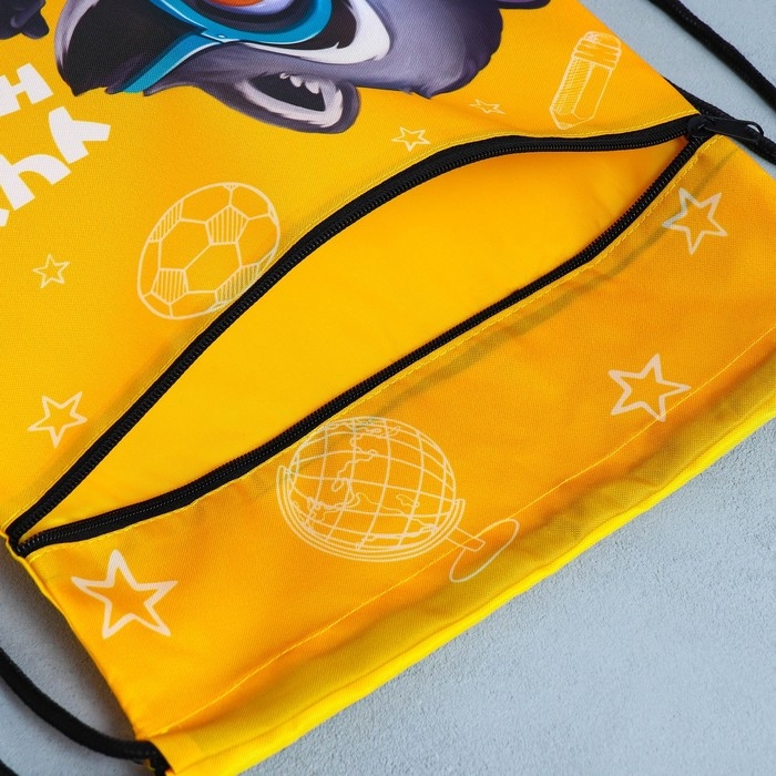 Мешок для обуви &laquo;Учусь на 5!&raquo; 2 секции, 30 х 40 см