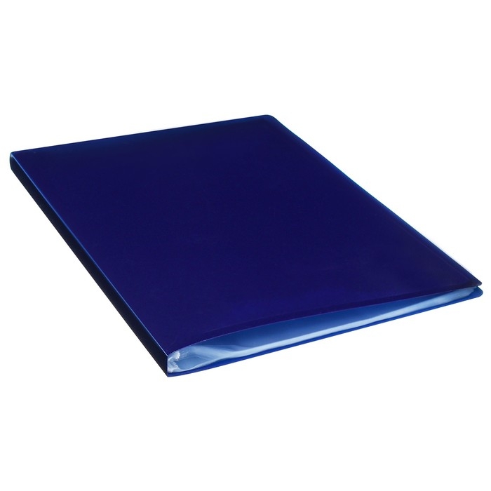 Папка с 40 вкладышами А4, 500 мкм, Calligrata, черничная Папка с 40 вкладышами А4, 500 мкм, Calligrata, черничная