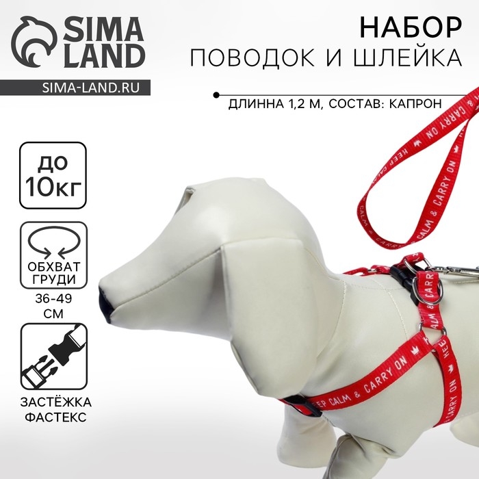 Комплект Keep calm & carry on, шлейка 36-49 см, поводок 120х1,5 см