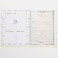 Свидетельство о рождении, 32 х 22,3 см Свидетельство о рождении, 32 х 22,3 см