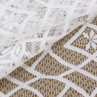 Кружевная эластичная ткань, 240 мм &times; 2,7 &plusmn; 0,5 м, цвет белый