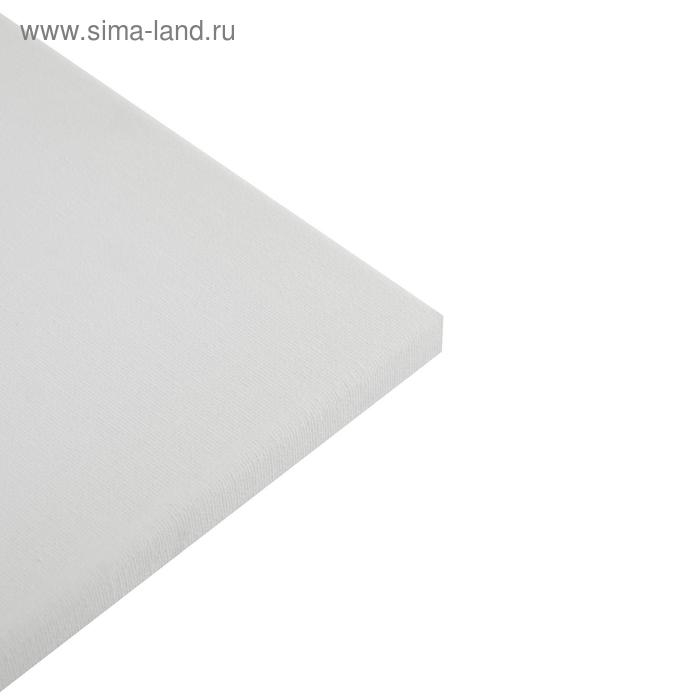 Холст на подрамнике, хлопок 100%, 40 х 50 х 1.8 см, акриловый грунт, мелкозернистый, 280 г/м&sup2;