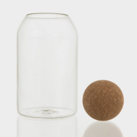 Банка стеклянная для хранения сыпучих продуктов &laquo;Эко&raquo;, 800 мл, 9&times;18 см, с пробковой крышкой