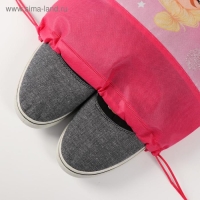 Мешок для обуви &laquo;Следуй за мечтой&raquo; 30 х 40 см