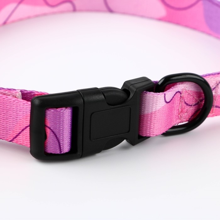 Набор &laquo;Нежность&raquo;, застёжка - фастекс, поводок 2 м и ошейник 28-46 см