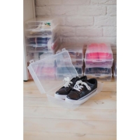 Короб для хранения обуви &laquo;Реноме&raquo;, 32&times;19&times;10,5 см, цвет прозрачный