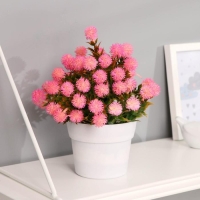 Бонсай в горшке "Астра с остролистом" 10х20 см, микс Бонсай в горшке "Астра с остролистом" 10х20 см, микс