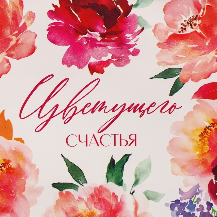 Пакет подарочный ламинированный с тишью, упаковка, &laquo;Счастье&raquo;, MS 23 х 18 х 10 см