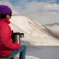 Термос для еды с контейнерами «Арктика 1500», стальной Термос для еды с контейнерами «Арктика 1500», стальной