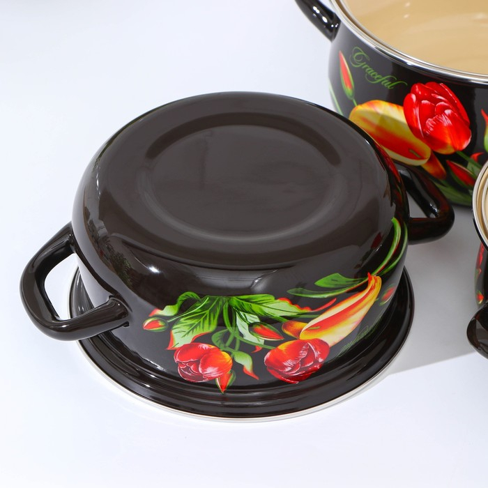 Набор эмалированных кастрюль &laquo;Грациозный&raquo;, 3 предмета: 1,5 л, 2 л, 3 л, индукция