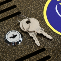 Ящик почтовый с замком, горизонтальный «Широкий», бронзовый Ящик почтовый с замком, горизонтальный «Широкий», бронзовый