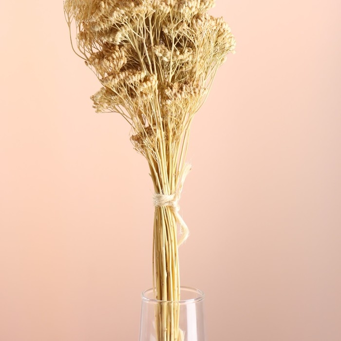 Набор сухоцветов "Тысячелистник", банч длина 60 (+/- 6 см), выбеленный