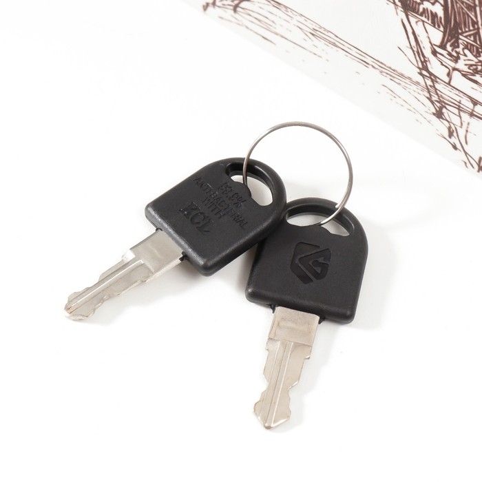 Сейф-книга дерево кожзам Сейф-книга дерево кожзам "Париж. Ретро" 21х13х5 см