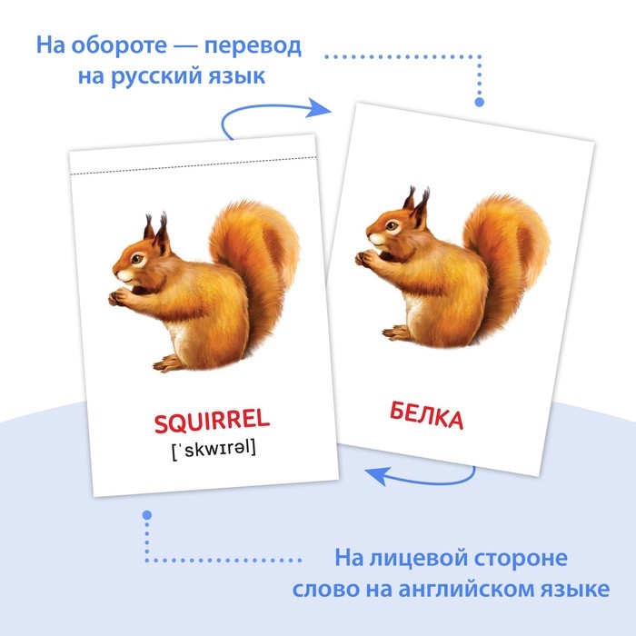Книги набор &laquo;Карточки Домана на английском языке&raquo;, 8 шт. по 24 стр.