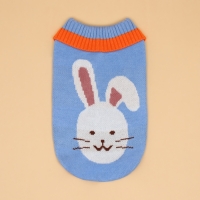 Свитер "Зайка", L (ДС 29, ОШ 29, ОГ 29-49 см) Свитер "Зайка", L (ДС 29, ОШ 29, ОГ 29-49 см)