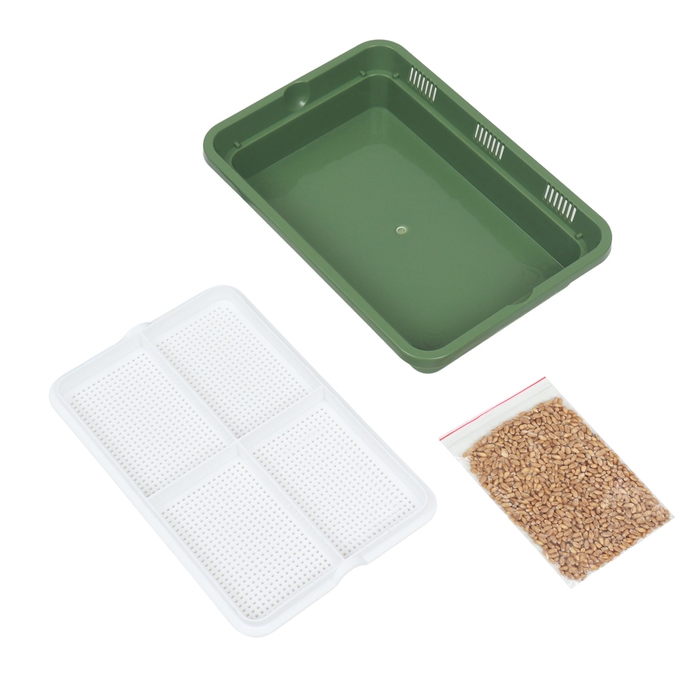 Лоток для проращивания травы кошкам 26,5 х 17,5 х 5 см