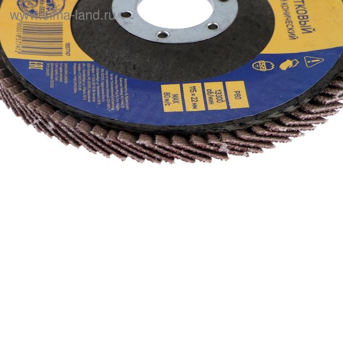 Круг лепестковый торцевой конический ТУНДРА, 115 х 22 мм, Р80 Круг лепестковый торцевой конический ТУНДРА, 115 х 22 мм, Р80